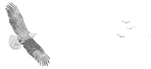 Belmont Bay Community Association Logo
